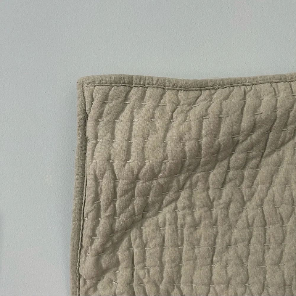 Pottery barn euro sham